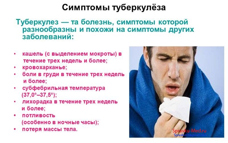 Симптомы туберкулеза Симптомы туберкулеза