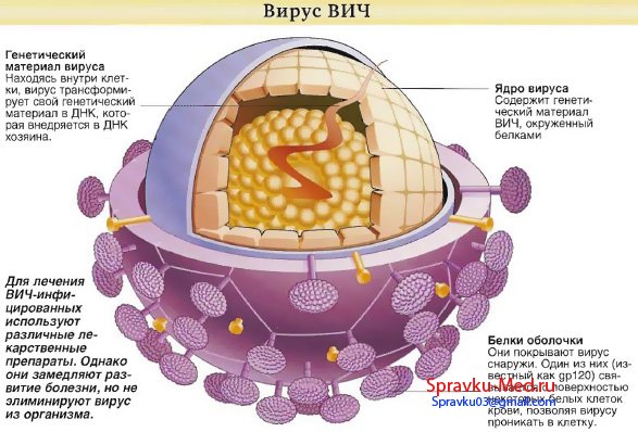 HIV/AIDS HIV/AIDS
