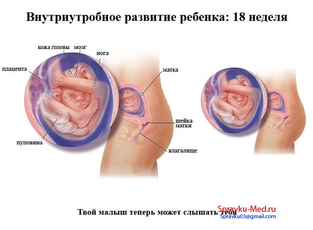 Справка о беременности Справка о беременности
